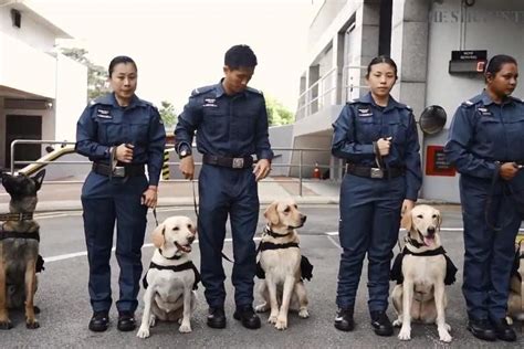 Auxiliary Police Officer Singapore